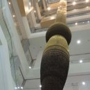 경상북도청 동락관 1층 대공연장 | 경상북도청&amp;도의회 방문 조현일 도의원을 만나다