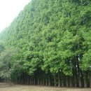 황등면-04 이미지