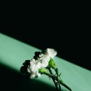 경기도의료원포천병원 이미지