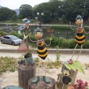 안동목장 이미지