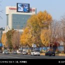 남영광고 이미지