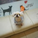 성내동물병원 이미지