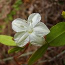 종명랜드 이미지