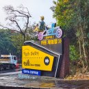 박물관은살아있다 | 서귀포가볼만한곳 트릭아트 볼만한 제주박물관은살아있다 내돈내산 후기