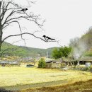 현순당구장 이미지