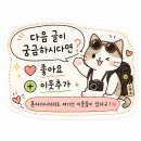 여행창조 | [여자혼자 이집트여행] 피라미드 오픈런 후기 | 투어 없이 자유여행