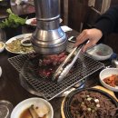 가보세포차
