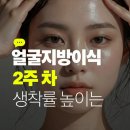 미인도헤어 | 얼굴지방이식 2주 차, 생착률 높이는 '성괴' 안 되는 3가지 비밀 (가격/붓기/유지기간 정리)