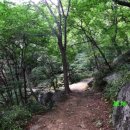 왕대민박 이미지