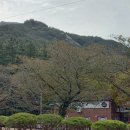 카페하루 이미지