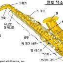 ﻿색소폰 연주 145 곡 모음 (개별 듣기)♬♬ 이미지