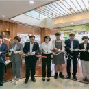 나무카페 이미지