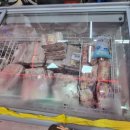 밀알축산 이미지