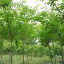 목원농장 이미지