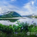 내린천의 봄 이미지