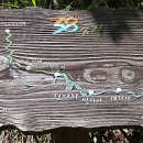 38선 숨길 디모테오길 이미지