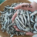 바다애씨푸드
