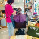 수주머리나라 이미지