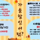 두쏠아이 홈플러스 연수점 네이버블로그