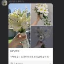 데일리로그감성사진관 이미지