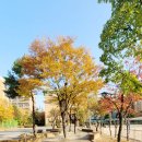 유튜브 리터러시-슬기로운 유튜브 생활 이미지