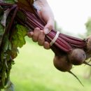 가포축산 이미지