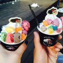 운용목장 이미지