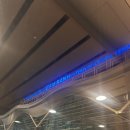 제이드팜 | 나트랑 깜란공항 출국장 식당 버거킹 후기