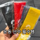 피트니스 포유 | [루프밴드] 운동선수 필수템!라텍스 루프밴드 5종 세트 솔직후기 (힙업운동/스쿼트밴드)