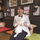 세계로 동물병원 이미지