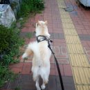 효리세탁소 이미지