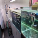 아쿠아수족관 이미지