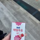 [휴학일기] 가장 바빴던 것 같은데 할 거 다하고 다녔네 나
