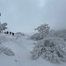 영실 1100고지 화장실 이미지