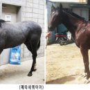 죽담 이미지