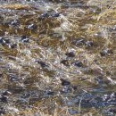 홍지마을 이미지