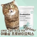 섬과 하루 | 야옹섬 고양이 신장 유산균 프로바이오틱스 프로토콜 하루 1캡슐 급여후기