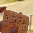 백호체육관본관 | 🇯🇵 D+202 토호쿠 여행 #1 산왕소녀, 아키타 노시로에 다녀오다