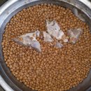 명월보양식 이미지