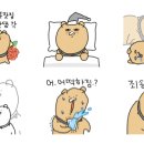 착하개 이미지