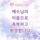 엄*춘 Daum카페