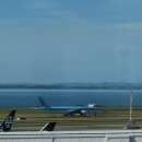 국제선청사 외곽(택시승강장 부근) | 317-319 : 2박3일 당일치기 오클랜드여행, 풀만 에어포트호텔, 크라이스트처치에서 오클랜드 젯스타