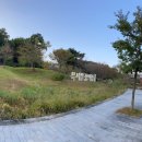 꿈의숲동물병원 이미지