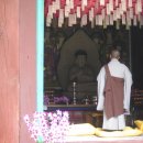 [국도34] 괴산군 태성리 Daum카페