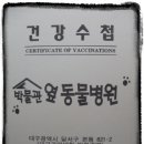 박물관옆동물병원 이미지