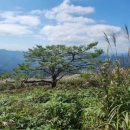 청조목장 이미지