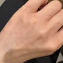 원산도 다온 맛집 | 누가 내 머리에 똥 쌌어
