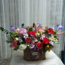 도깨비 스크린골프 이미지