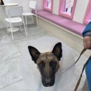 삼화4길 6-1 이미지