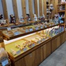 (주)씨튼 이미지